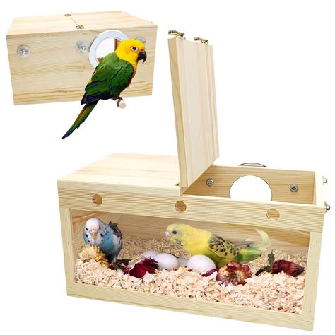 10 Best Toucan Bird Nest Boxes For Optimal Breeding Results Hummingbirds Plus