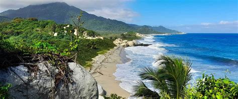 Guía Completa para Visitar el Parque Tayrona2025