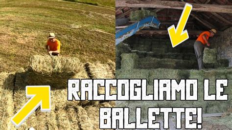 RACCOLTA BALLETTE 2023 Ultimo Step Della FIENAGIONE YouTube