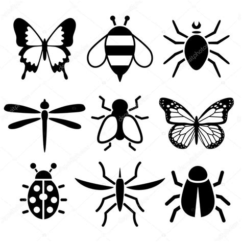 Insect Collection Stock Vector By ©glorcza 61518689