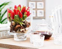 Rote Tulpen Mit Zwiebel In Einer Bild Kaufen Living Media