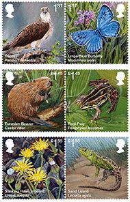 Reintroduced Species Stamps and Souvenirs | Royal Mail Group Ltd