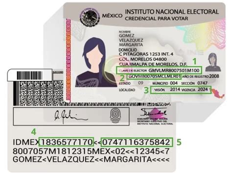 Datos Sobre Tu Credencial De Elector Ine Avafin