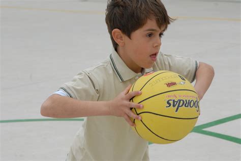 Wie man altersgerechte Bälle für Kinder auswählt Tigerfit