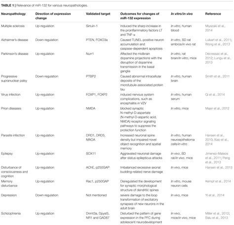 Frontiers Advances In Roles Of Mir 132 In The Nervous System