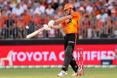 Bbl Perth Scorchers Full Players List In Big Bash League Ft