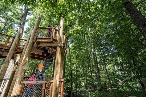 Daniels Wood Land Adventure Outpost Gallery Scenic Fabrication