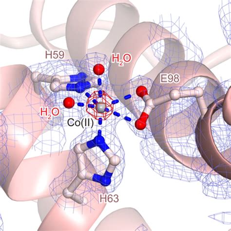 Co II Ion Coordination By YfcM The 2Fo Fc Electron Density Map