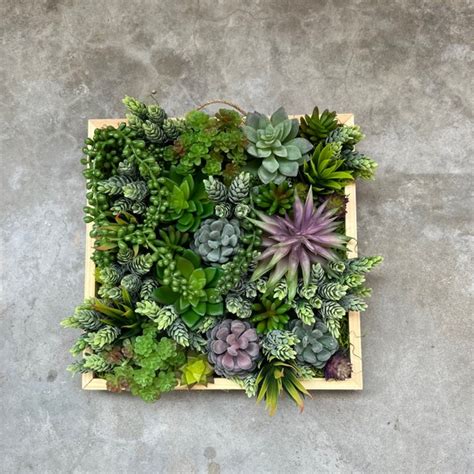 Succulent Wall Art - Shop Online - Etsy