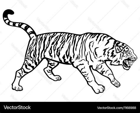 Tiger black and white Royalty Free Vector Image