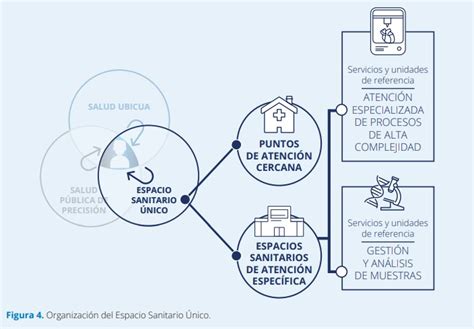 Propuestas Para Implantar La Medicina Personalizada De Precisión