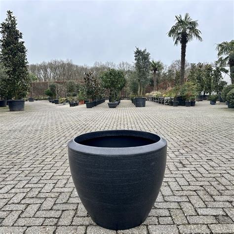 Luxury Vase Plantenbak Noah Zwart Palmexpert Nl