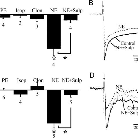 Effects Of Norepinephrine NE And Specific Noradrenergic Receptor