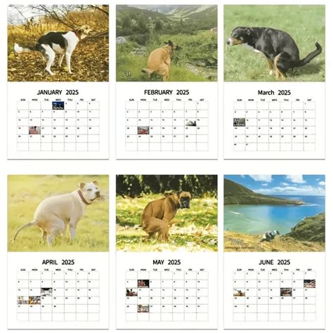 Calendrier Humoristique Chien Faisant Ses Besoins Dans De Beaux