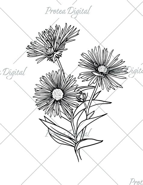 Wildflower Asters Svg For Cricut And Silhouette Floral Svg Etsy