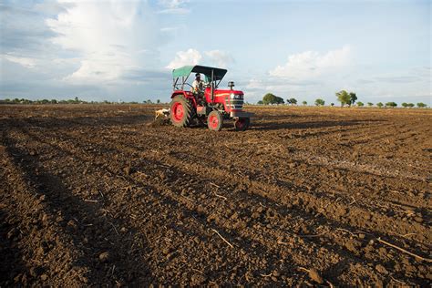 Fertilizantes Para El Bienestar Impulsando A Pequeños Productores