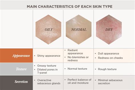 difference  skin types skin conditions environ skin care
