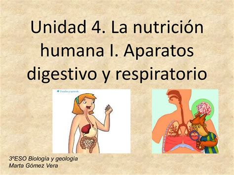 Unidad Aparatos Digestivo Y Respiratorio Ppt