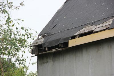 Get Shed Roof Repair Schedule Service Today