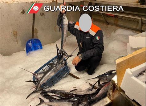 Operazione Swordfish La Guardia Costiera Di Livorno Sequestra Un