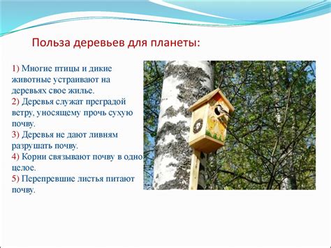 Виды деревьев. Польза деревьев для планеты - презентация онлайн