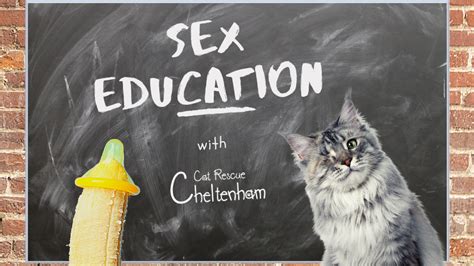 Project Sex Education Chuffed Non Profit Charity And Social Enterprise Fundraising