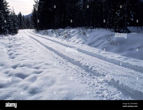 Snow Covered Road In Utah Stock Photo Alamy
