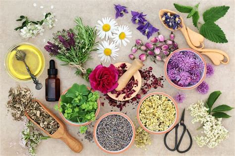 Get Your Essential Oil Blends In Alltimecare