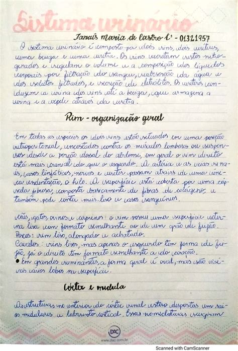 Resumo Sobre Sistema UrinÁrio Histologia Histologia Veterinária