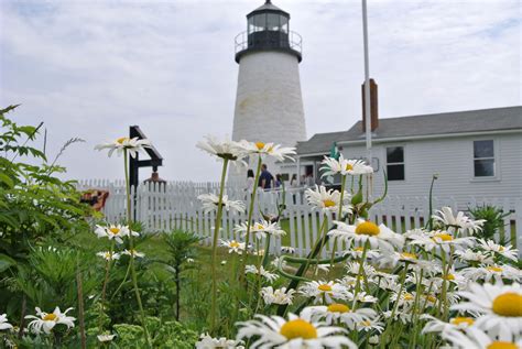 Pemaquid Lighthouse in Maine