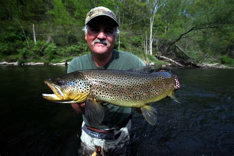 Delaware: Delaware River Fly Fishing