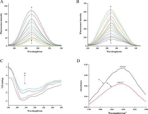 Synchronous Fluorescence Spectra Of α Glucosidase In The Absence And