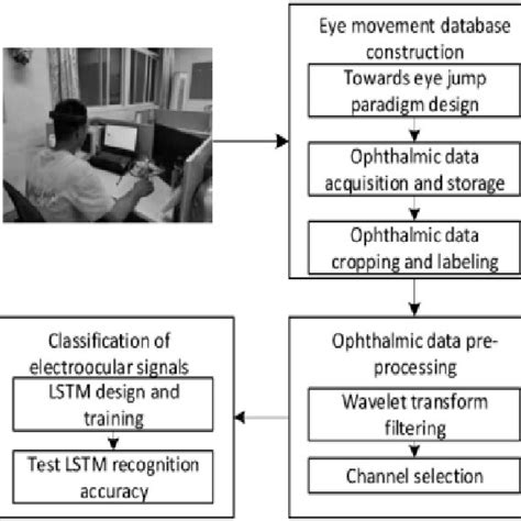 The Eye Movement Direction Recognition Model Based On The Directional Download Scientific