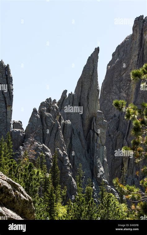 Large Granite Formations In Custer State Park South Dakota On The