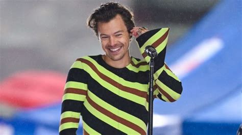 El Significado Del Nombre Del Nuevo álbum De Harry Styles Harrys