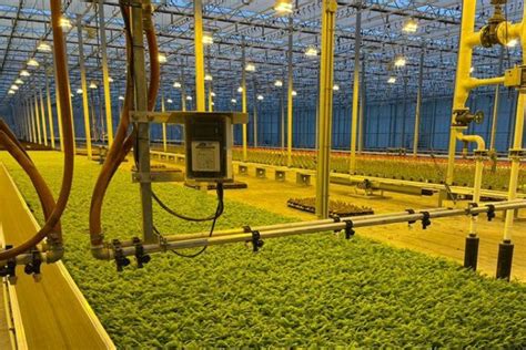 Erfgoed Establishes Watersystems Department For Greenhouses Hortimedia