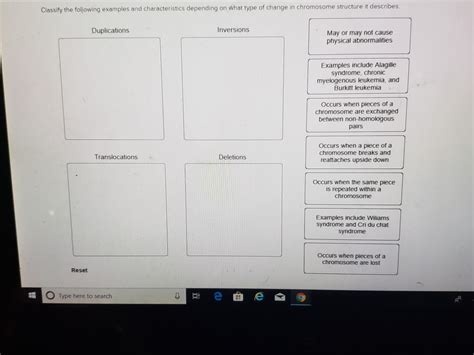 Solved Classify The Following Examples And Characteristics Chegg