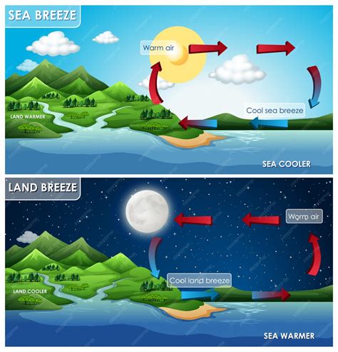 Infografía Científica Para La Brisa Marina Y Terrestre Vector Gratis