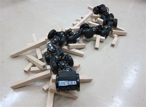 Control Of Snake Like Robots For High Mobility And Dexterity Research