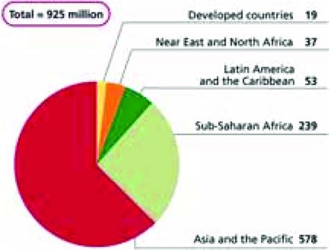 3 Undernourishment in 2010 (millions) (Source: FAO 2010d ) | Download Scientific Diagram