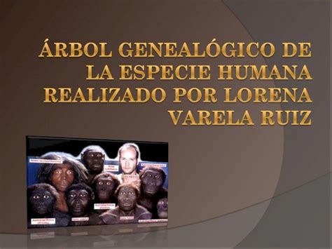 Ppt Proceso De Hominizaci N Australopithecus Ramidus Es