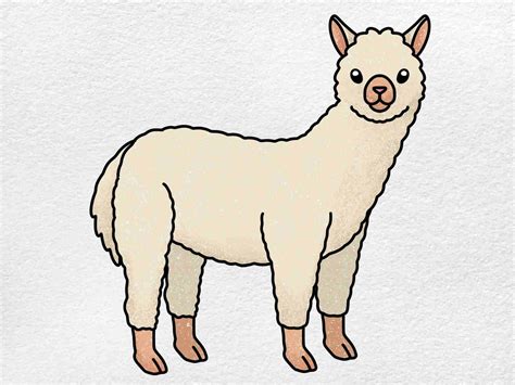 How To Draw An Alpaca Helloartsy