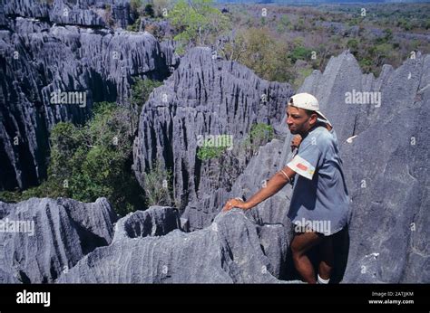 Tourist Overlooking The Karst Limestone Formations Of The At Tsingy De