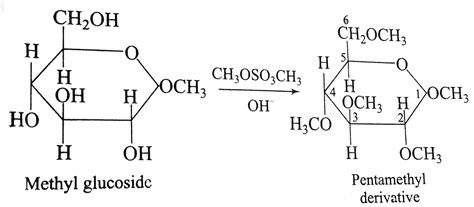 A Methyl Glucoside Can Be Converted To The Anhydride In The Presence