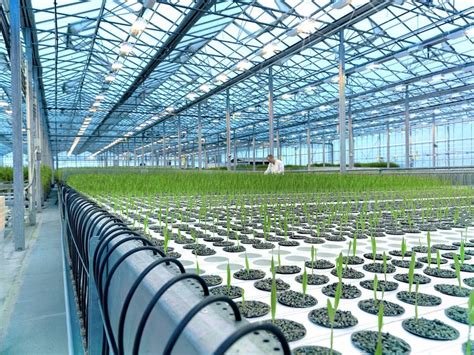 What Is Molecular Farming Plus 6 Companies To Watch