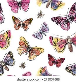 Hand Drawn Butterfly Flower Butterflies Moth Stock Vector Royalty Free