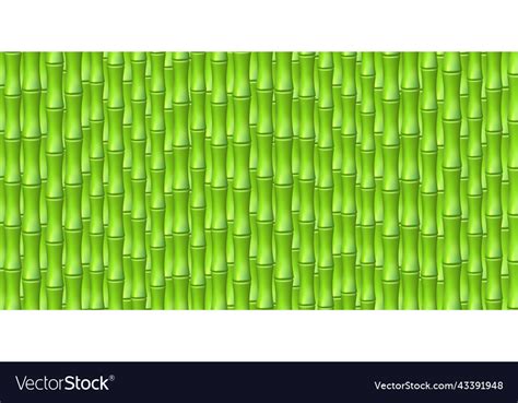 Green Realistic Bamboo Background Royalty Free Vector Image