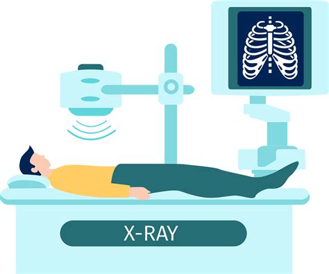 X Ray Clipart Free Transparent Clipart Clipartkey