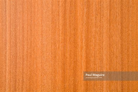 Photo For Sale Wood Veneer Texture Paul Maguire