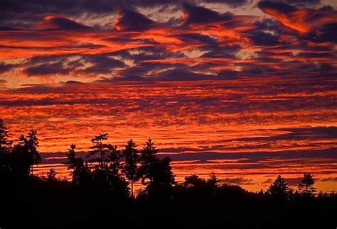 Washington State Sunset Photograph By Jon Reddin Photography Fine Art